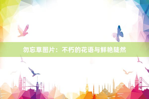 勿忘草图片：不朽的花语与鲜艳陡然